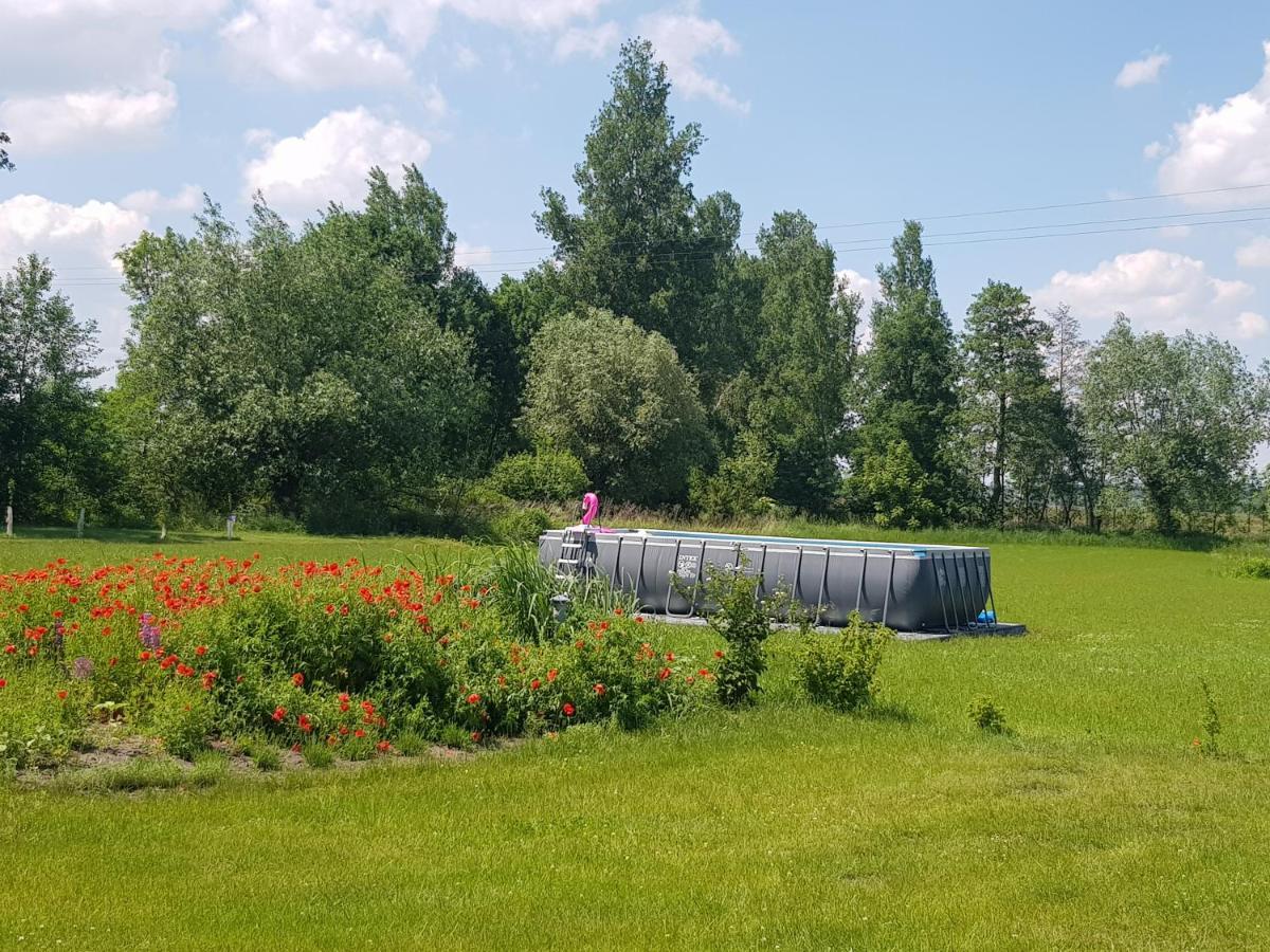 Wygodny Dom Na Ponidziu Z Basenem Villa Wislica Exteriör bild